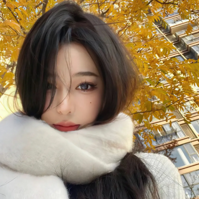 女皇之刃 流浪的战士